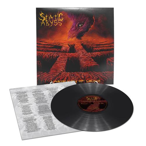 Product image Vinyl LP Static Abyss Labyrinth Of Veins 140G Black