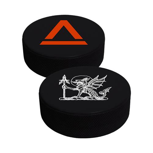 Product image Misc. Accessory Saint Asonia Heallbeast Black Hockey Puck