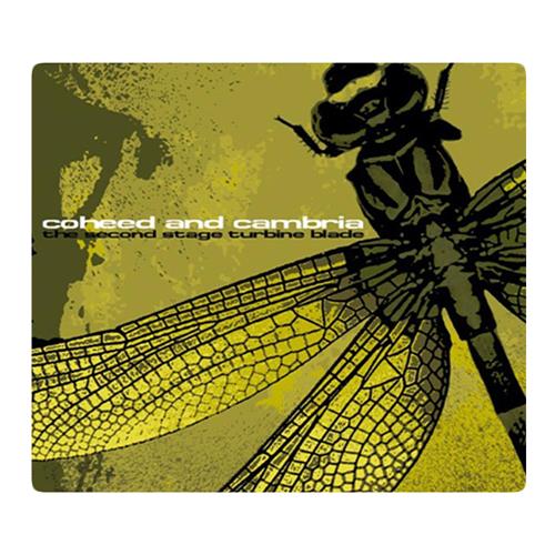 wild orchid album download wild orchid album download