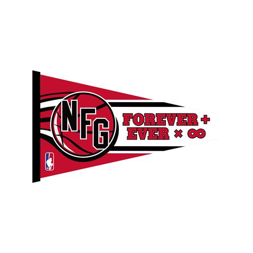 Product image Misc. Accessory New Found Glory Forever + Ever X Infinity  Pennant