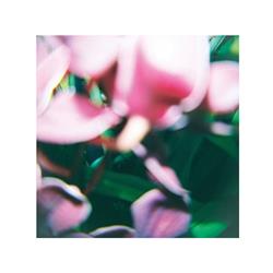 You Make Everything Disappear