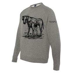 Dog Pullover Crewneck With Embroidered Sleeve