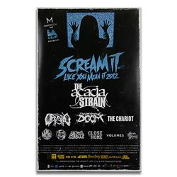 Scream It Like You Mean It 2012 Blue Tour