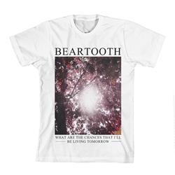 beartooth merchandise