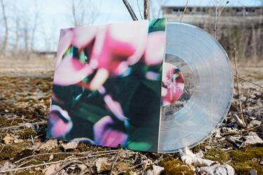 You Make Everything Disappear  Clear