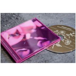 You Make Everything Disappear