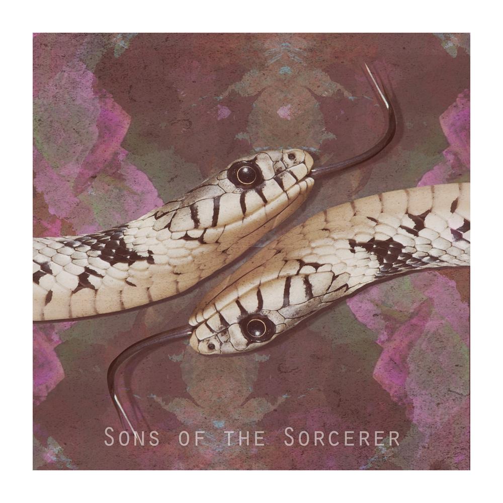 Sons Of The Sorcerer